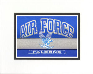 Air Force Falcons