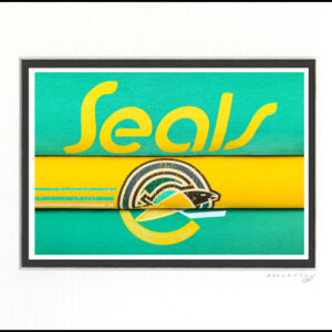 California Golden Seals 11x14