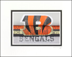 Cincinnati Bengals 2