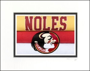 Florida State Seminoles