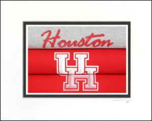Houston Cougars