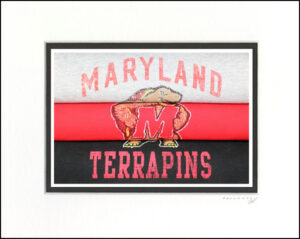 Maryland Terrapins