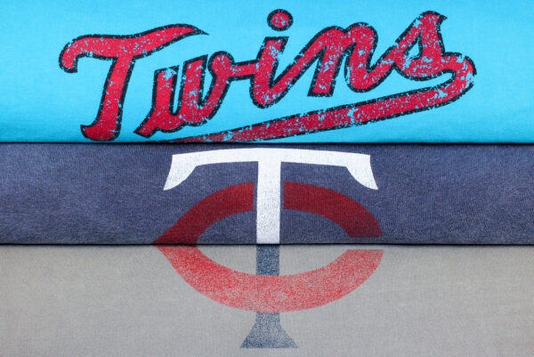 Minnesota Twins 20x30