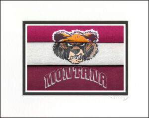 Montana Grizzlies