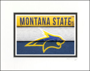 Montana State Bobcats