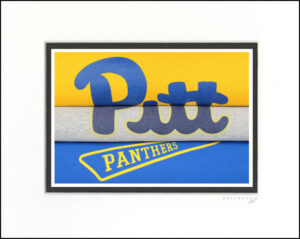 Pitt Panthers