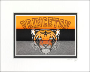 Princeton Tigers