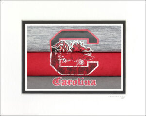 South Carolina Gamecocks