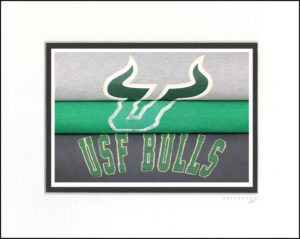USF Bulls