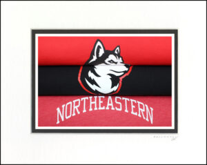 Northeastern Huskies