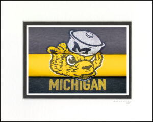 Michigan Wolverines 2