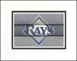 Tampa Bay Rays 2
